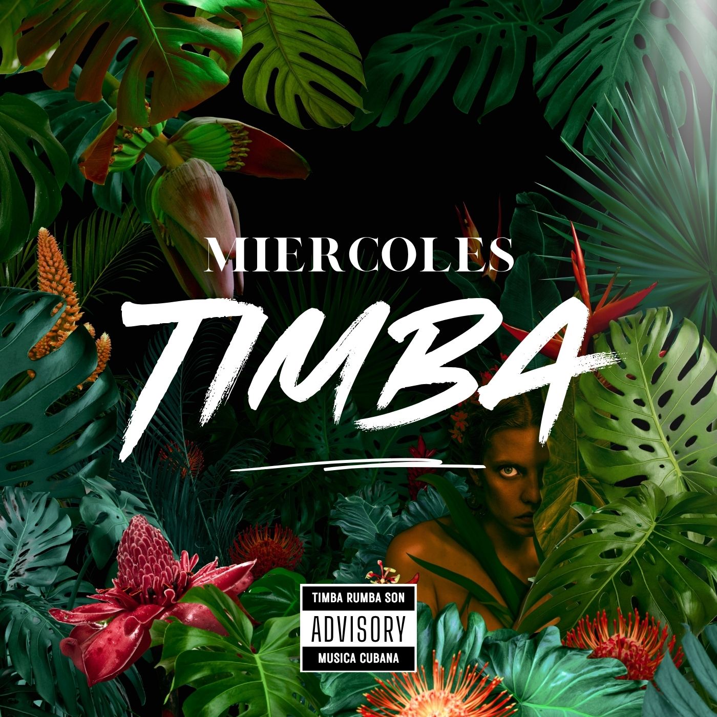 TIMBA